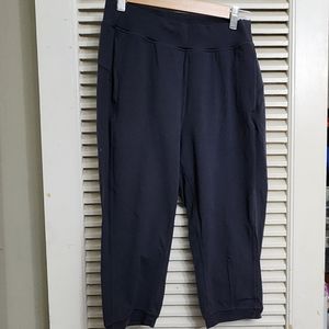 Lulu Lemon Joggers - super comfy